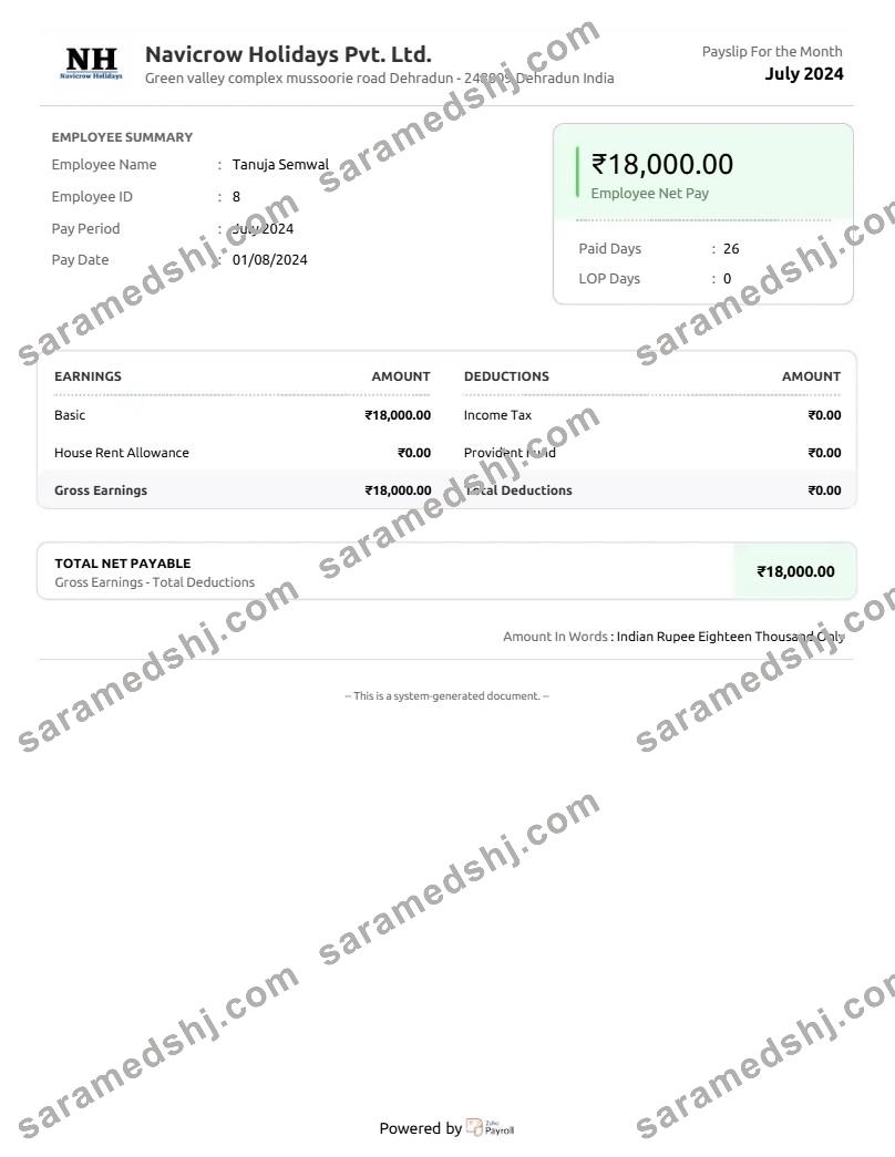 Navicrow Holidays Pvt. Ltd. earnings summary template in Word and PDF formats.pdf, 1